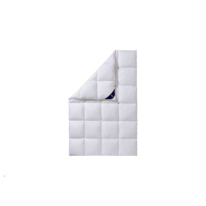 Spessarttraum Daunendecke Silber 100%Daunen 155 x220cm Allergikerfreundlich