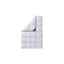 Spessarttraum Daunendecke Silber 100%Daunen 155 x220cm...